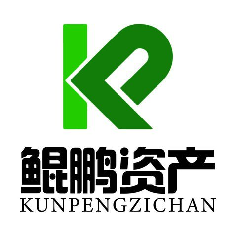 吉林省鲲鹏森林资源资产价格评估有限公司logo设计