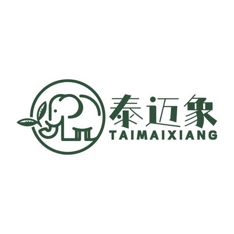 泰迈象logo设计