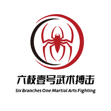 六枝壹号武术搏击