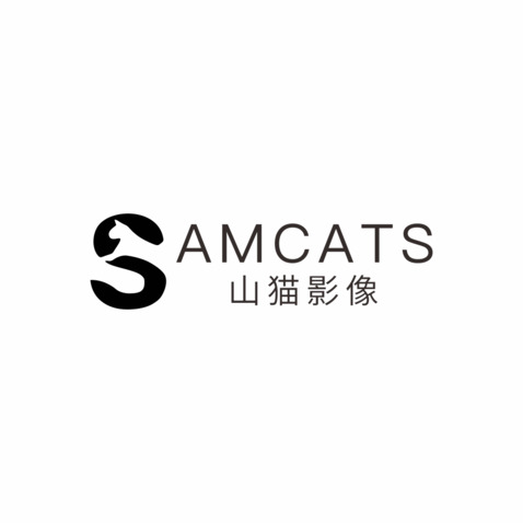 山猫影像logo设计