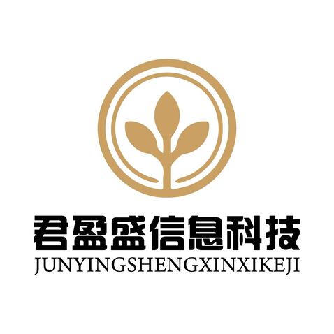 君盈盛信息科技（海南）有限公司logo设计