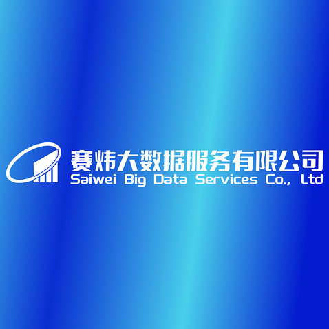 赛炜大数据服务有限公司logo设计