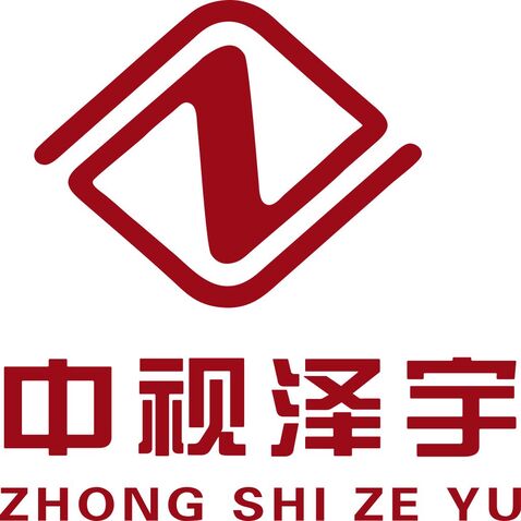 中视泽宇logo设计