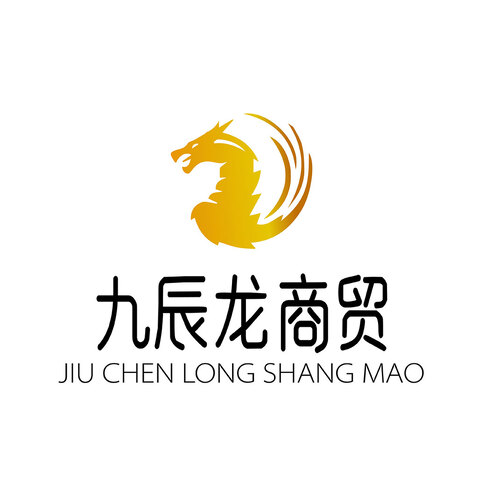 九辰龙商贸logo设计