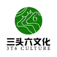 三头六（天津）文化责任有限公司