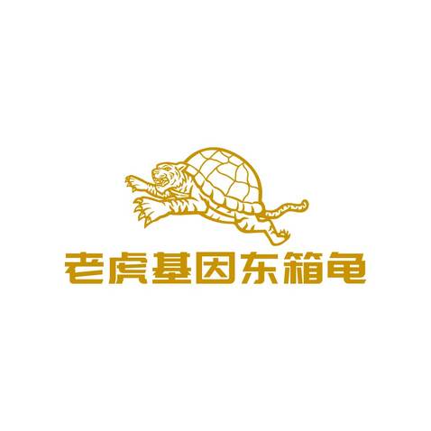 东箱龟logo设计