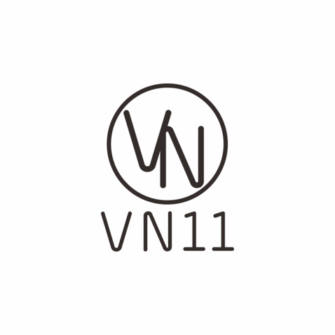 VN11logo设计