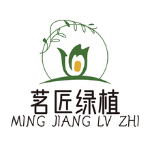 茗匠绿植