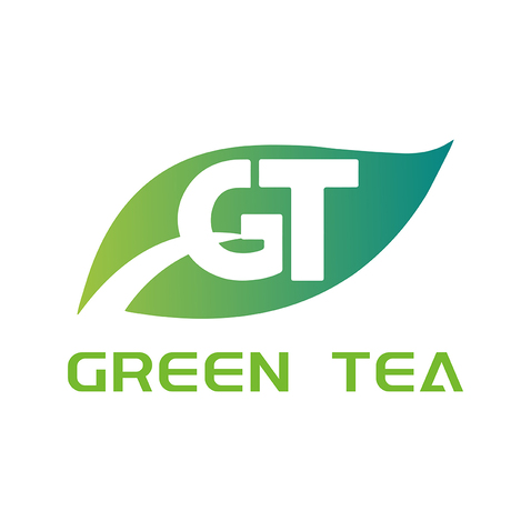 GTlogo设计