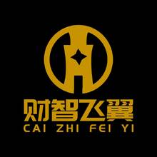 财智飞翼