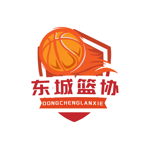 东城篮协logo设计