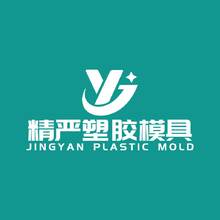 精严塑胶模具