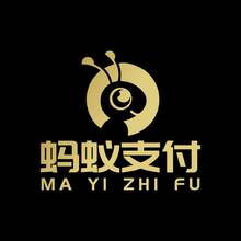 蚂蚁支付