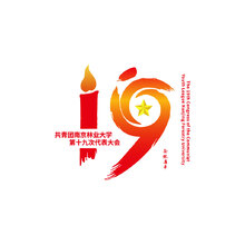 19大