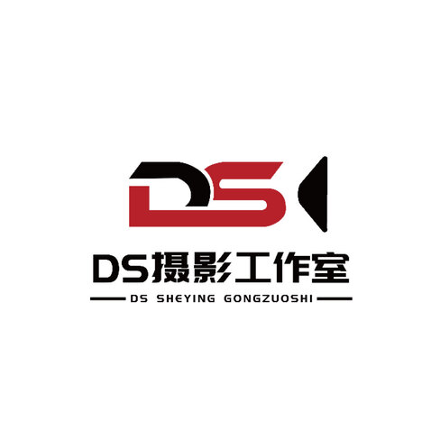 DSlogo设计