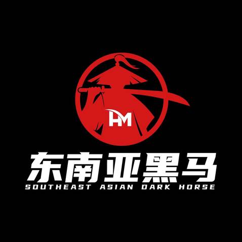 东南亚黑马logo设计