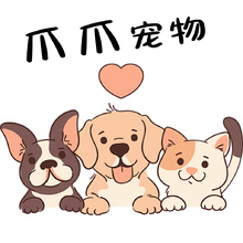 宠物头像