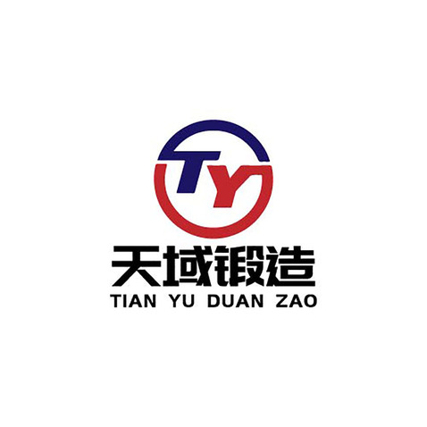 天域锻造logo设计