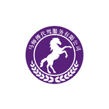 马师傅代驾