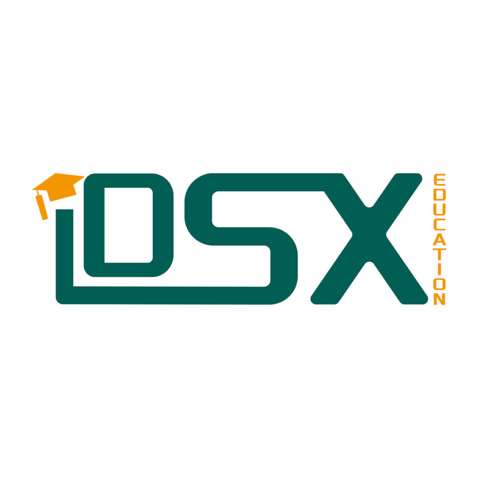 DSXlogo设计