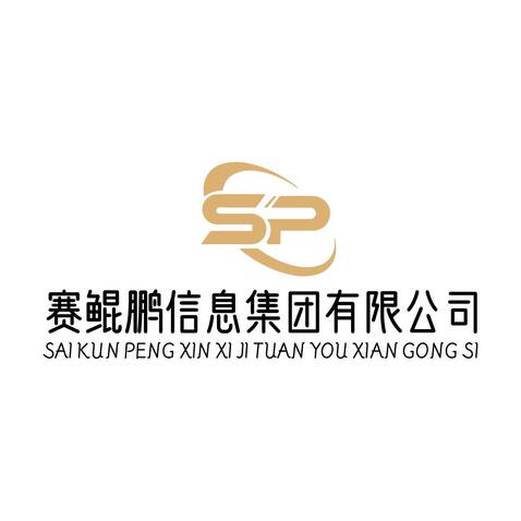 赛鲲鹏信息集团有限公司logo设计