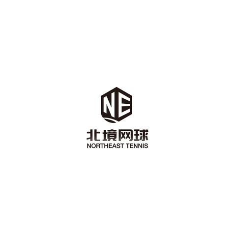 北境挥拍logo设计