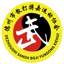 武术与搏击运动