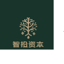智投资本