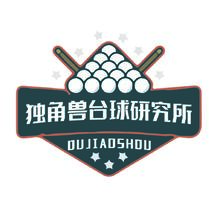 台球竞技与培训