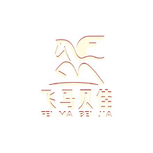 飞马贝佳
