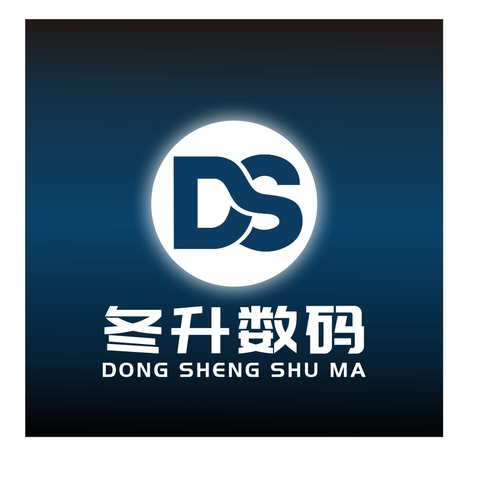 东升数码logo设计