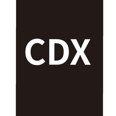 cdxlogo设计