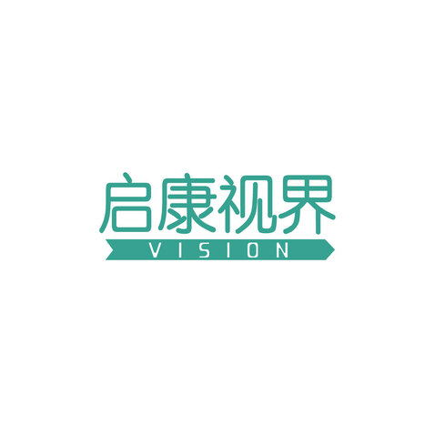 VISIONlogo设计