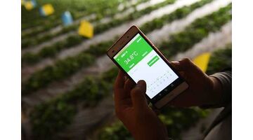 蔬菜大棚控制APP开发解决方案