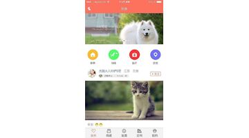 宠物APP 开发 让你宠物更加安全