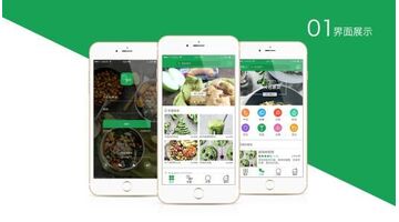 素食APP开发需要多少费用？