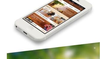 商城APP开发一般有哪些功能