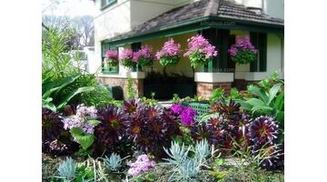 养花直播APP开发功能与解决方案