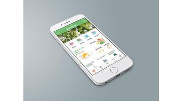 商城APP开发哪家公司好