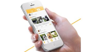 智能养犬APP开发需要多少钱？