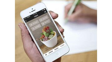 鲜花商城APP开发选择哪家公司好