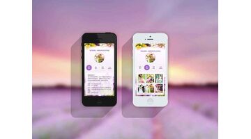 婚礼APP开发需要多少费用