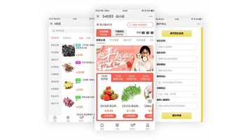 做一个社区团购APP需要多少钱