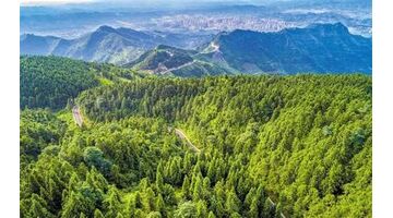 林业APP开发需要多少钱