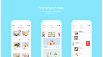 鲜花速递APP开发需要多少钱