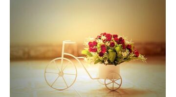 鲜花商城APP开发，开发一款鲜花商城APP需要多少钱