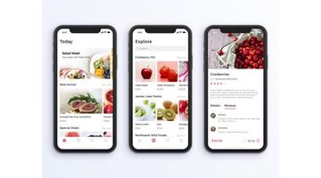 电商APP开发公司哪个靠谱？要考察哪些方面