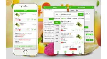 生鲜电商APP开发哪家公司技术好