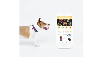 做一款宠物用品商城APP选择哪家公司好
