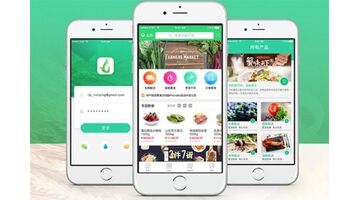 开发送菜上门APP找哪家公司好